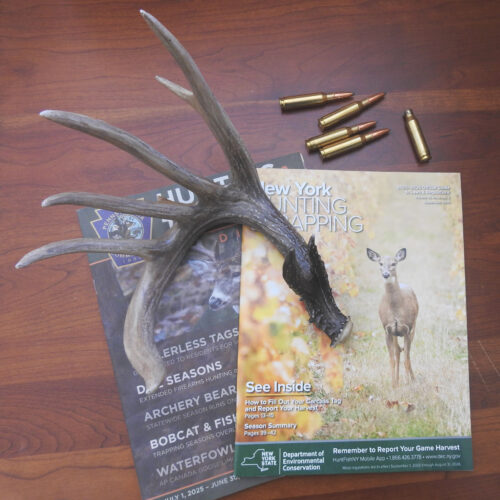 Man is the scientific, essential predator